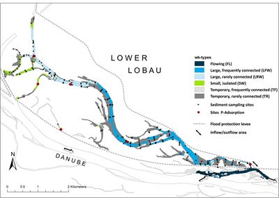 Effect of Hydrological Connectivity on the Phosphorus Buffering Capacity of an Urban Floodplain